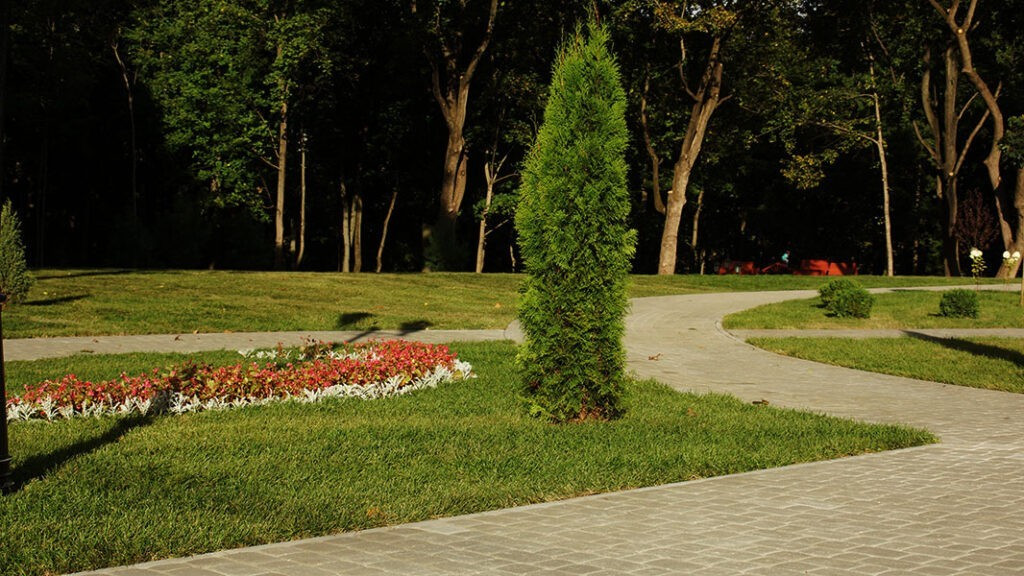 Старый город серый Stellard